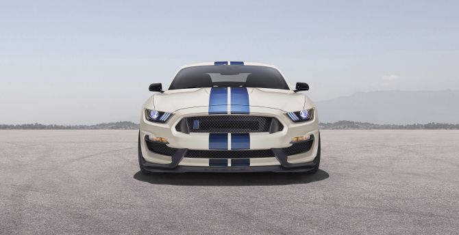 White Ford Mustang Shelby GT350 wallpaper