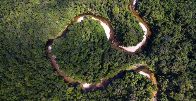 River, forest, nature, aerial view, trees wallpaper
