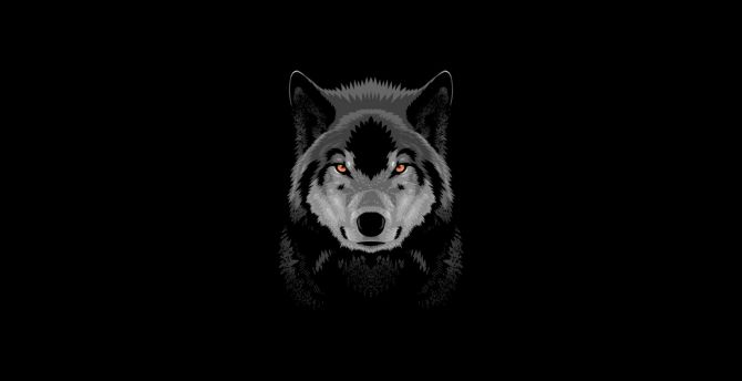 Wolverine, wolf, OLED, dark wallpaper