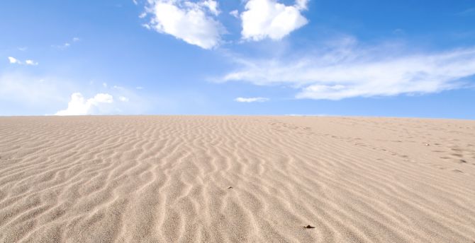 Desert, sand, sunny day, horizon wallpaper