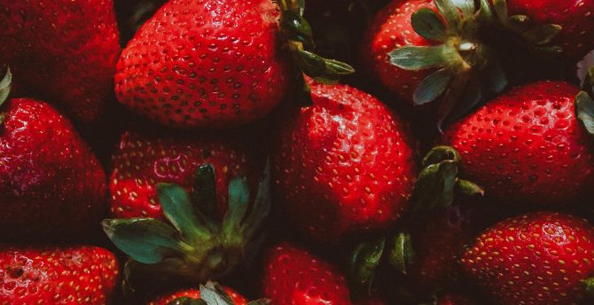 Strawberry, red fruit, fresh wallpaper
