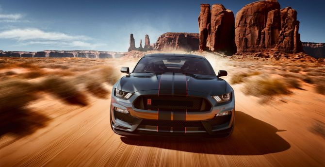 2019 Ford Mustang Shelby GT350 wallpaper