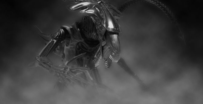 Alien, predator, creature, digital art, dark wallpaper