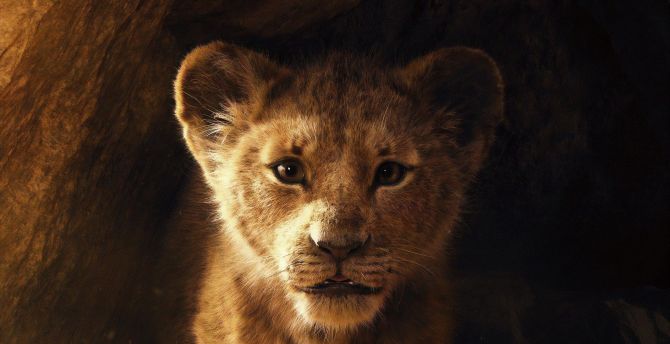 Simba, The Lion King, 2019 movie wallpaper