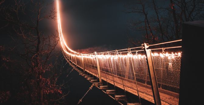 Lights on bridge, hanging bridge, night wallpaper