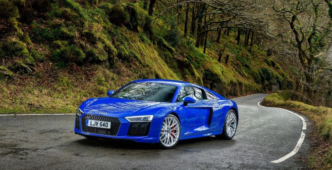 Audi R8, blue luxurious car, road wallpaper