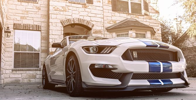 2018 Ford Mustang Shelby GT350, sports car wallpaper