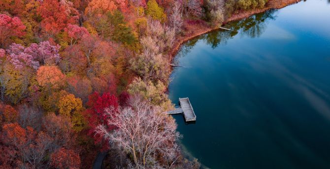 Lake, autumn, nature, aerial view wallpaper