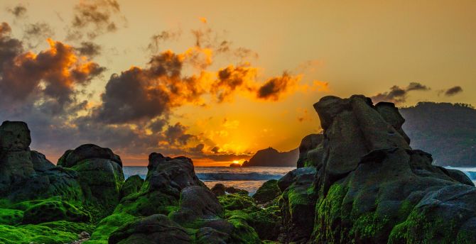 Sunset, coast, beautiful rocks, moss wallpaper