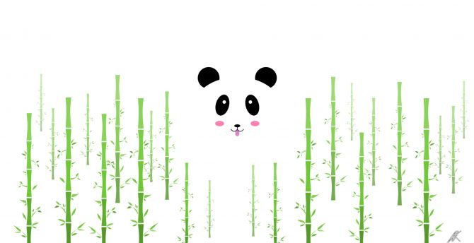 Bamboo and panda, minimal, cute panda wallpaper