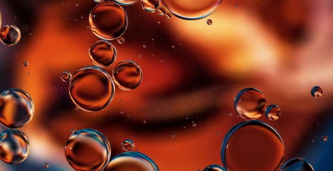Bubbles, transparent, liquid wallpaper