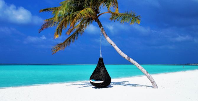 Maldives, islands, palm tree, travel wallpaper
