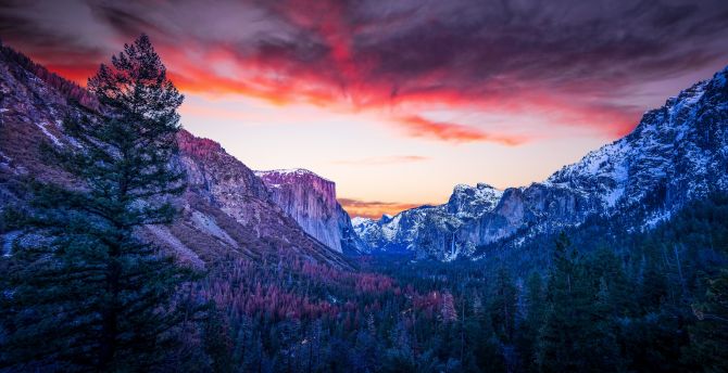 Mountains, forest, twilight, Yosemite Valley wallpaper