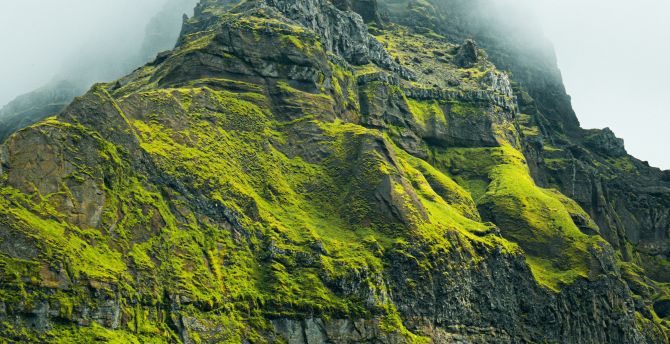 Wallpaper green mountain cliff, monsoon season, nature desktop wallpaper, hd  image, picture, background, e79e7b | wallpapersmug