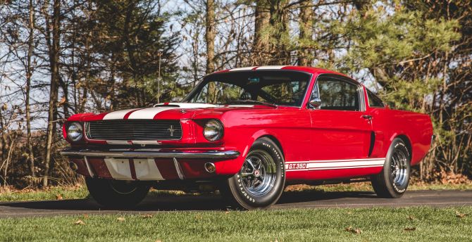 Red, classic car, 1966 Shelby GT350 wallpaper