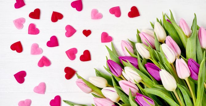 Heart, shapes, flowers, pink tulips wallpaper