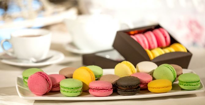 Macaron, colorful, sweets box, plate wallpaper