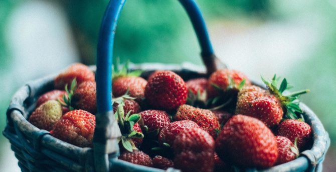 Strawberries, red, basket wallpaper