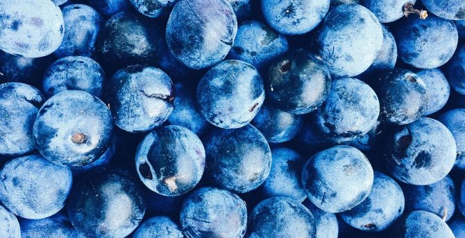 Fresh, blueberry, fruits wallpaper