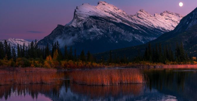 Vermillion Lakes, Banff National Park, mountains, trees, night, nature, moon wallpaper