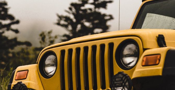 Yellow, Jeep, car, front wallpaper