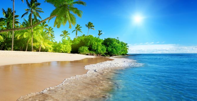 Tropical beach, sea, calm, sunny day, holiday wallpaper