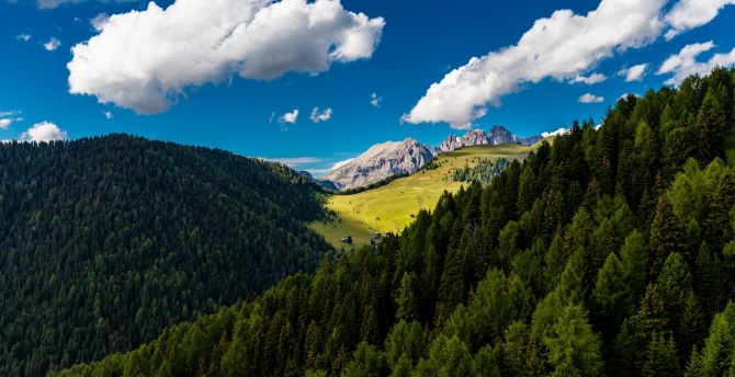 Trees, mountains, clouds, summer, sunny day wallpaper