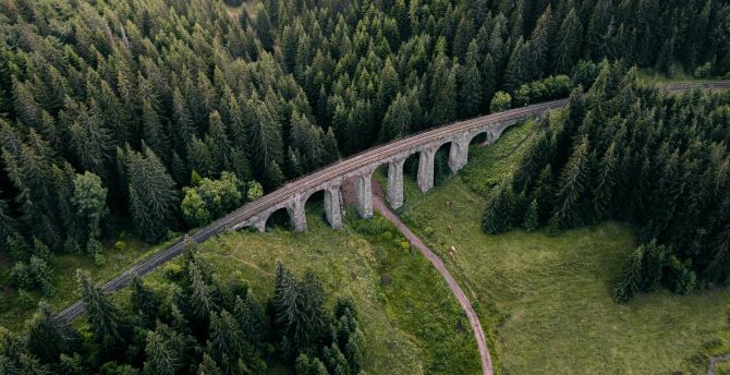 Aerial view, green trees, forest, bridge wallpaper