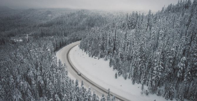 Winter, snowfrost, trees, forest, nature, road, aerial view wallpaper