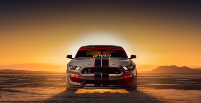 2022 Ford shelby GT350, sport muscle car wallpaper