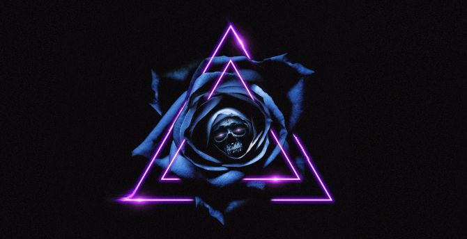 Skull, dark, triangles, blue rose, art wallpaper