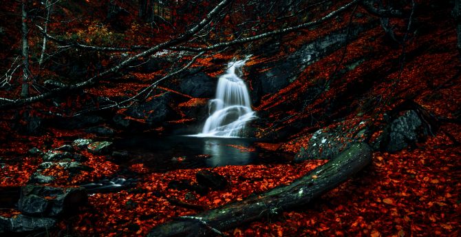 Autumn, red leaves, forest, waterfall, river, water stream wallpaper