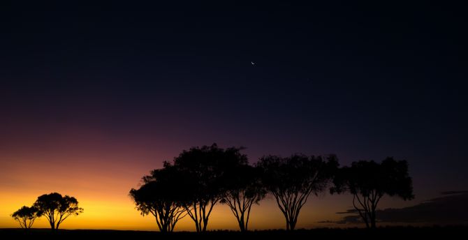 Sunset, trees, Siesta Park, Australia wallpaper