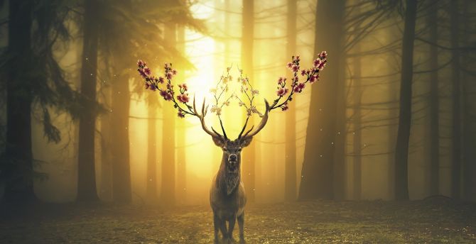 Deer, forest, surreal wallpaper