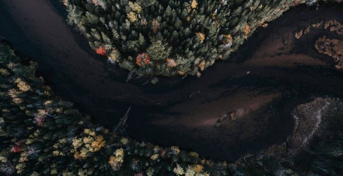 Aerial view, autumn, trees wallpaper