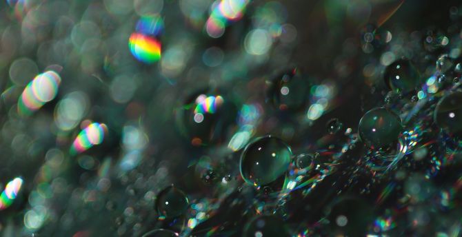 Bubbles, shine, blur, bokeh, macro wallpaper