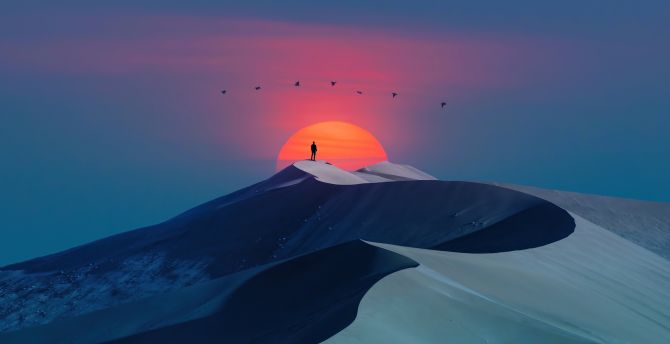 Birds over desert, sunset & man, silhouette, minimal art wallpaper