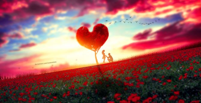 Couple, romantic moment, rose farm, tree, sunset wallpaper