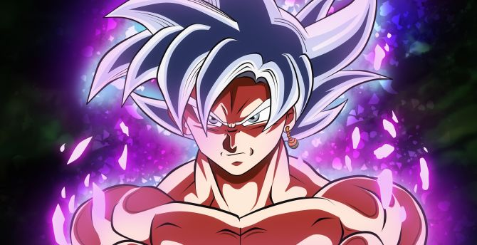 Goku, black, white hair, dragon ball super wallpaper