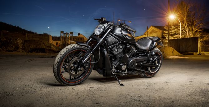 Harley Davidson, muscle bike, night out wallpaper