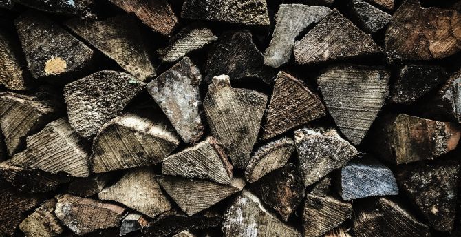 Firewood, texture, wooden log wallpaper