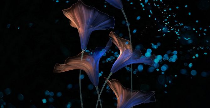Flowers, abstract, glow, digital art wallpaper