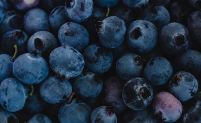 Fresh, blueberries, dark-blue, fruit