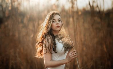 Girl in corn field, blonde & beautiful model
