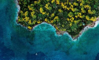Island, forest, ocean, aerial view