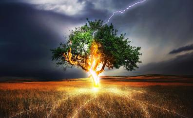 Lightning, flash, tree, landscape, storm