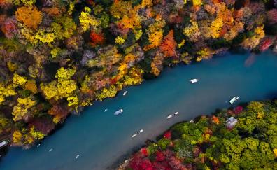 River, forest, colour of autumn, aerial view