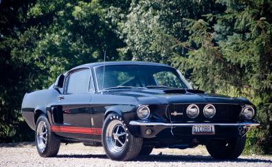 Front, muscle car, Shelby GT500
