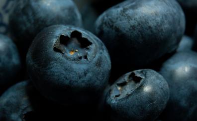 Blueberries, fresh, close up