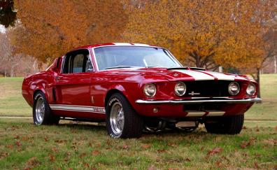 Classic, red Shelby GT500, front